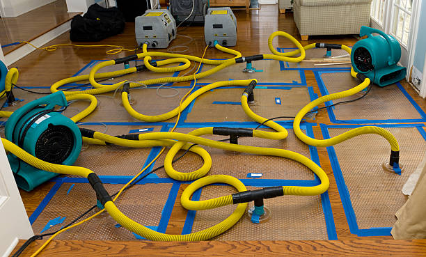 Professional Structural Drying And Dehumidification technician working in Fletcher, NC